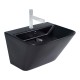 Paluci Vella Matt Black Monoblock Lavabo